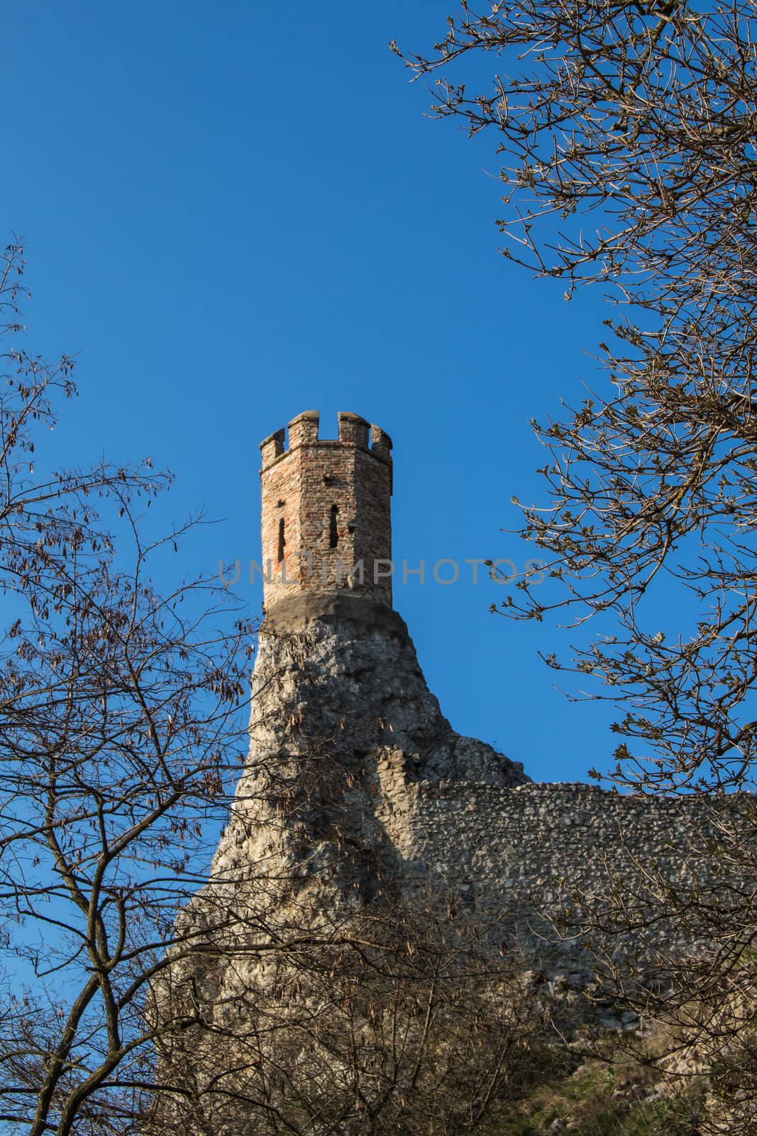 Castle Devin in Slovakia, built on the rocks as a former fortress. Maiden Tower, built on the edge of a slim rock. Tree twigs in foreground. Bright blue sky.