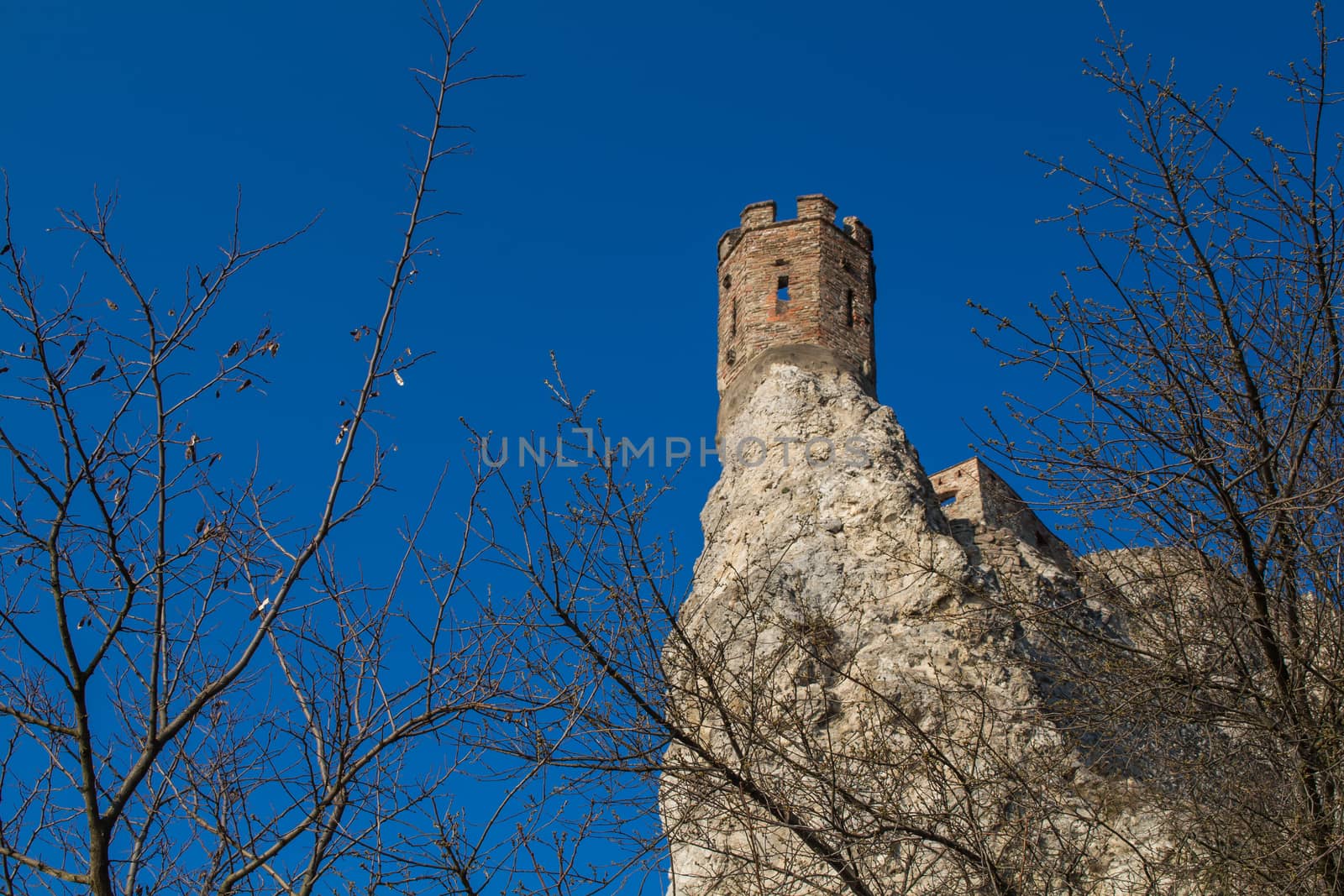 Castle Devin in Slovakia, built on the rocks as a former fortress. Maiden Tower, built on the edge of a slim rock. Tree twigs in foreground. Bright blue sky.