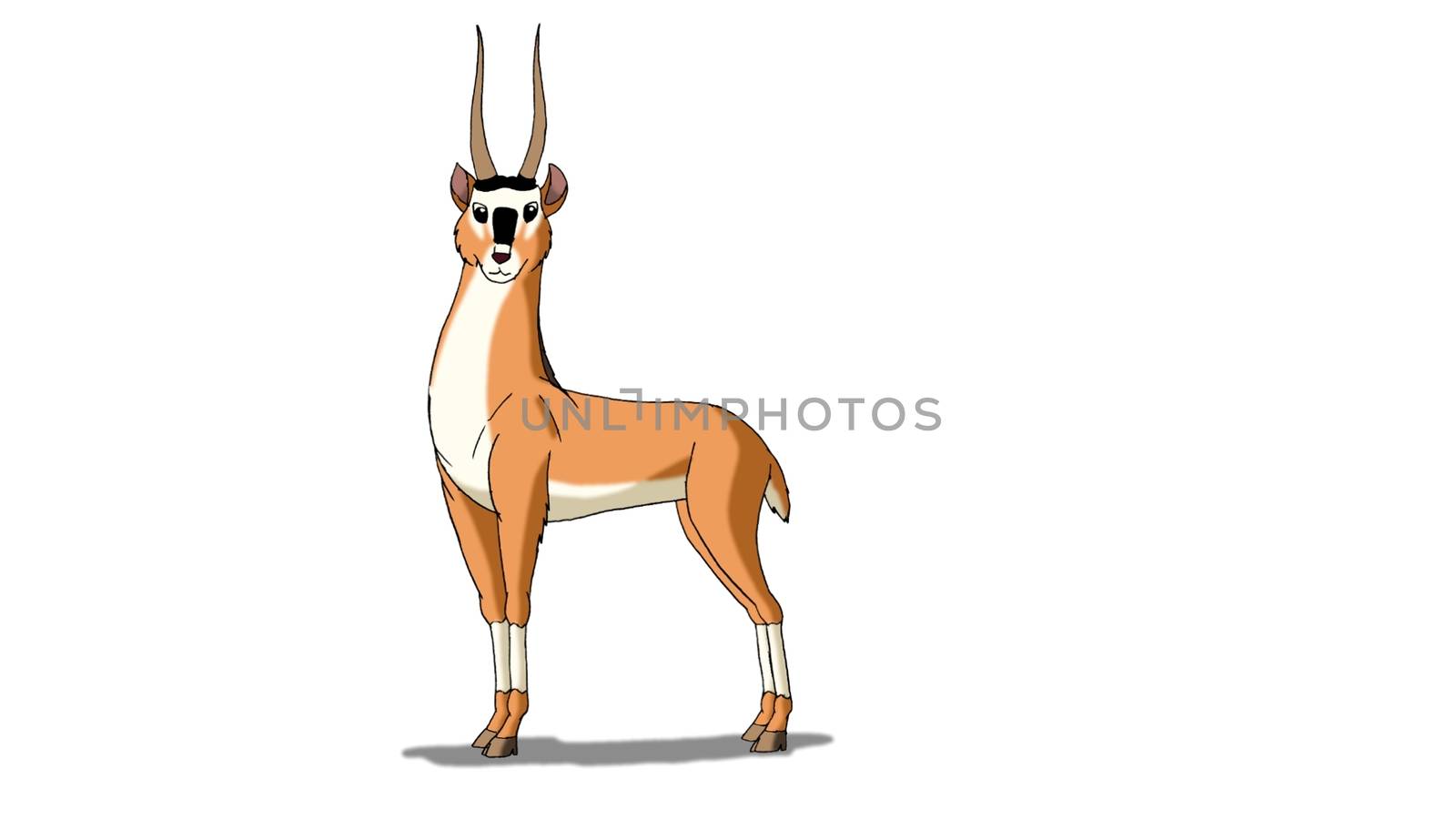 Antelope (Gazelle) Isolated on White Background by Multipedia