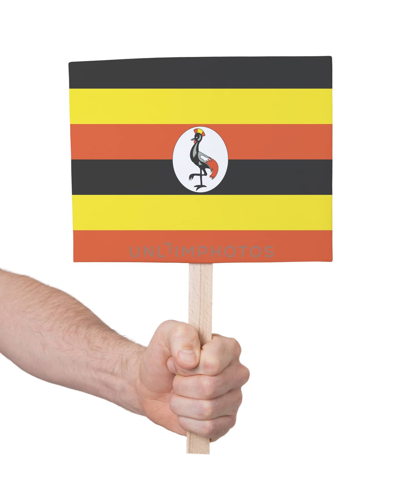 Hand holding small card - Flag of Uganda by michaklootwijk