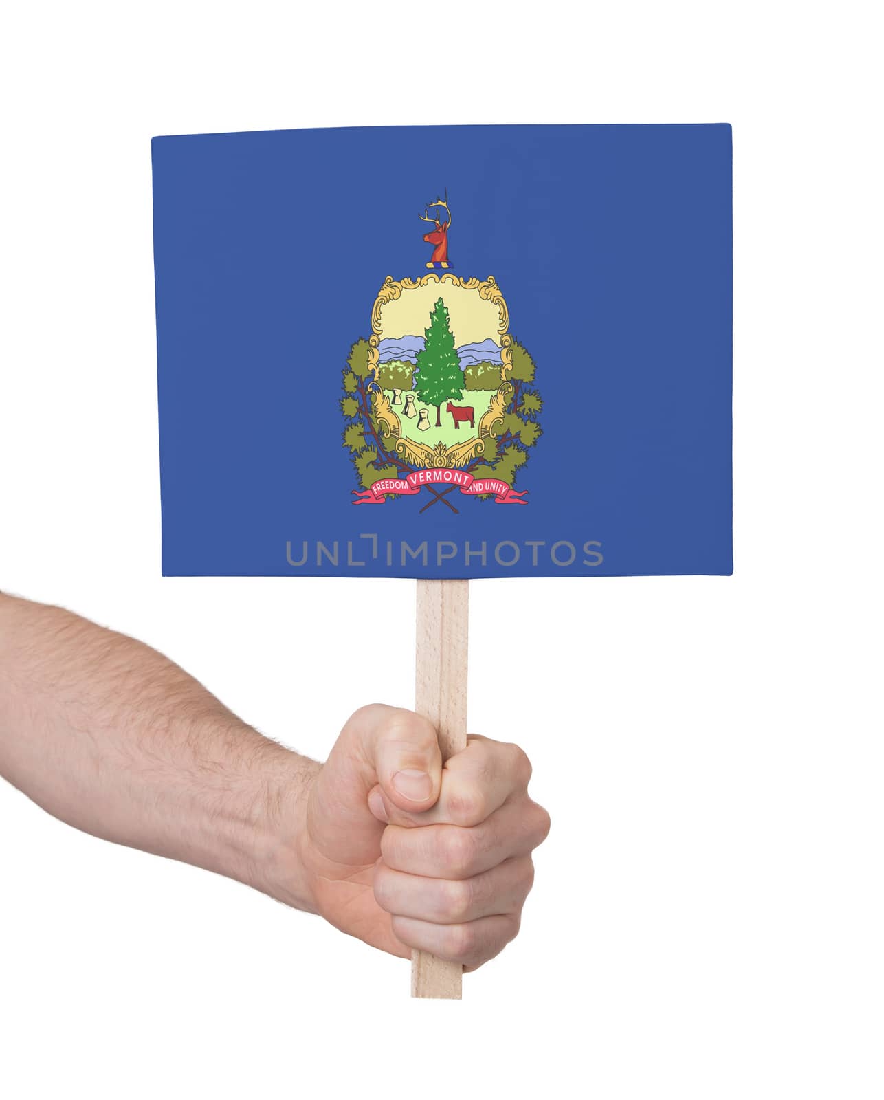 Hand holding small card - Flag of Vermont by michaklootwijk