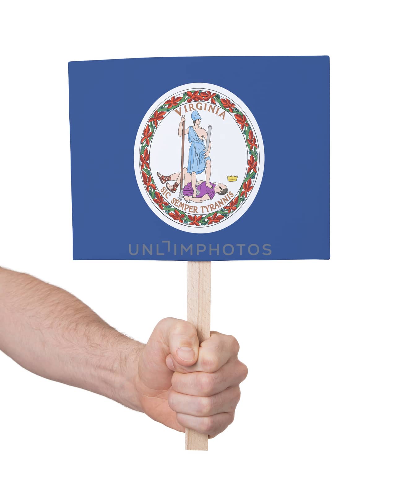 Hand holding small card - Flag of Virginia by michaklootwijk