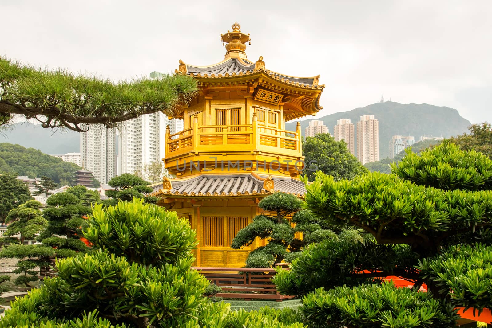 Beautiful Golden Pagoda Chinese style architecture in Nan Lian Garden, Hong Kong