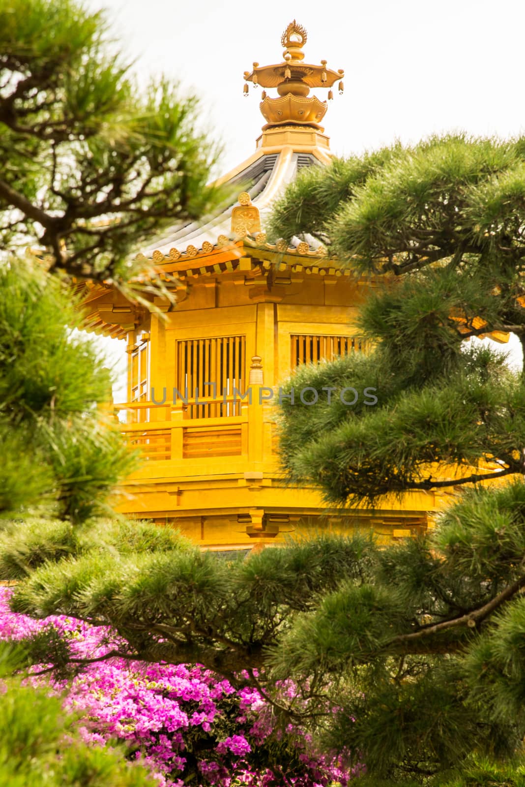 Beautiful Golden Pagoda Chinese style architecture in Nan Lian Garden, Hong Kong