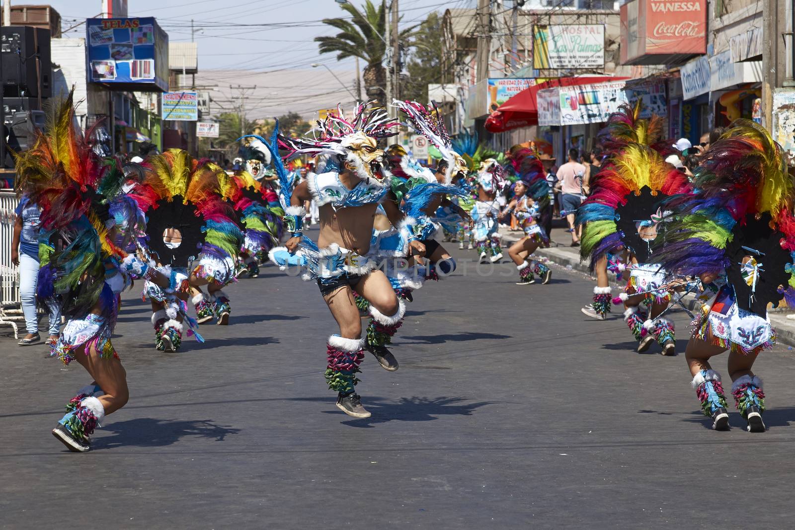 Tobas dancers in traditional Andean costumes performing at the annual Carnaval Andino con la Fuerza del Sol in Arica, Chile.