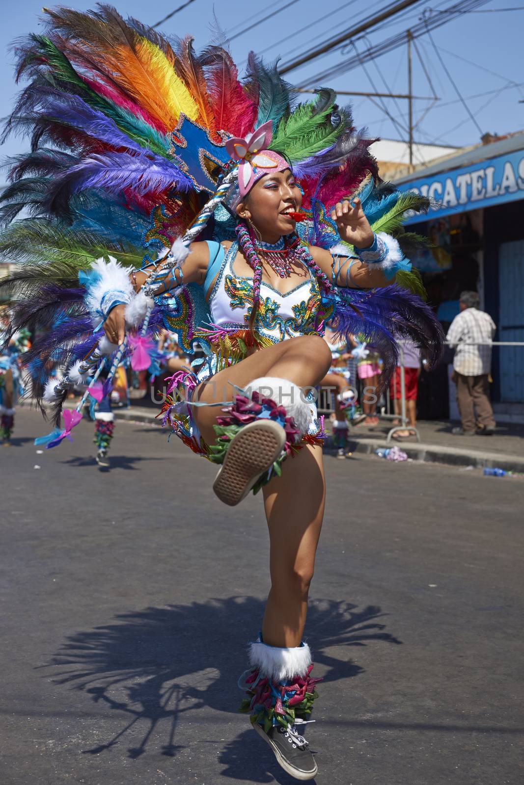 Tobas dancer in traditional Andean costume performing at the annual Carnaval Andino con la Fuerza del Sol in Arica, Chile.