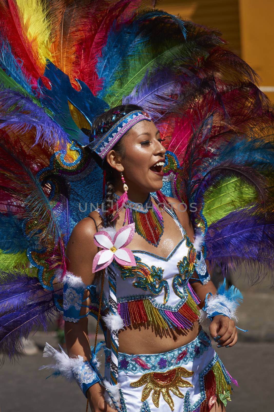 Tobas dancer in traditional Andean costume performing at the annual Carnaval Andino con la Fuerza del Sol in Arica, Chile.