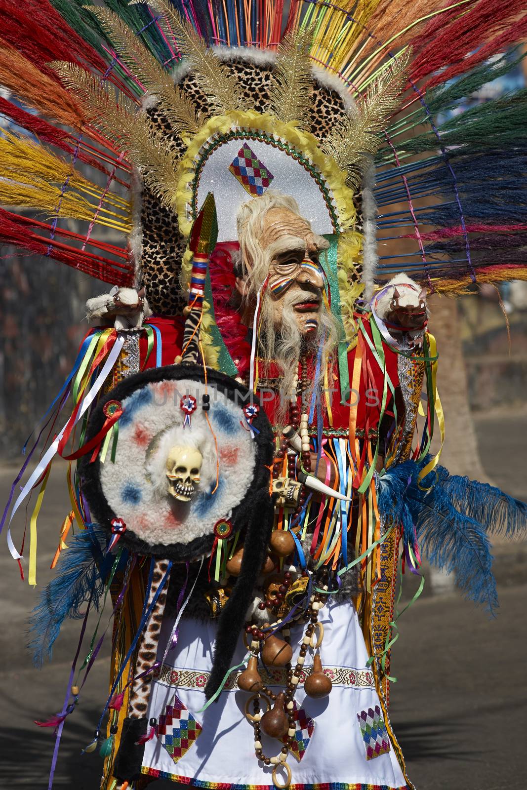 Member of a Tobas dance group in traditional Andean costume performing at the annual Carnaval Andino con la Fuerza del Sol in Arica, Chile.