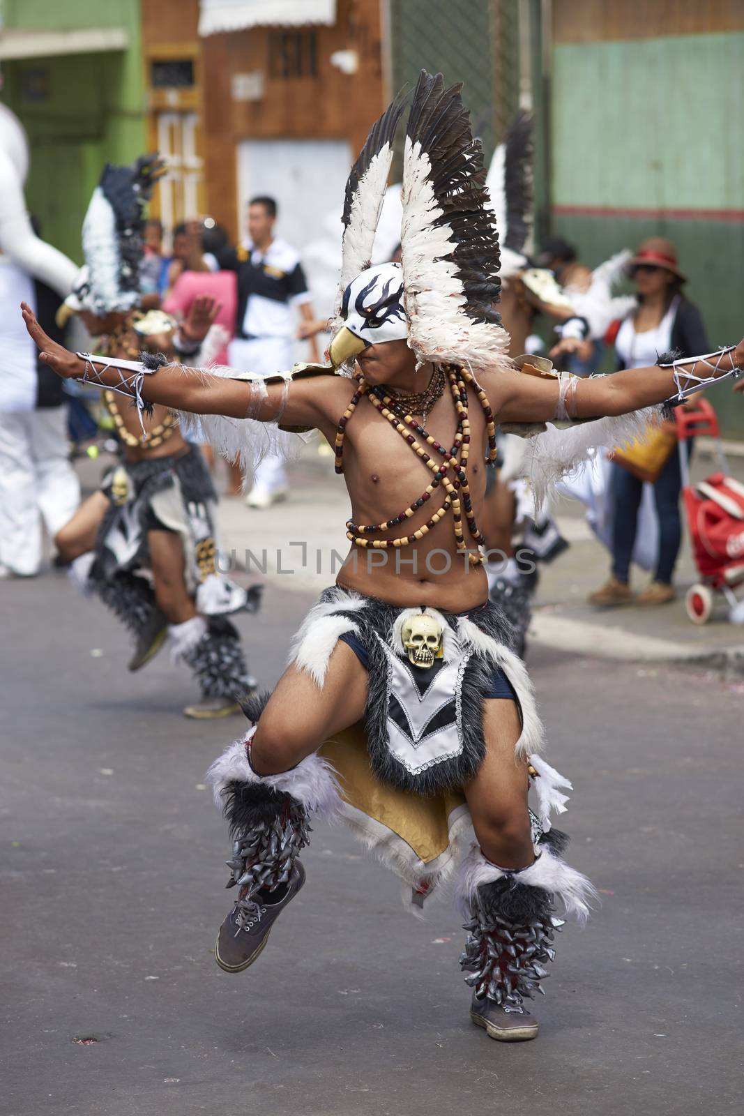 Tobas dancer in traditional Andean costume performing at the annual Carnaval Andino con la Fuerza del Sol in Arica, Chile.