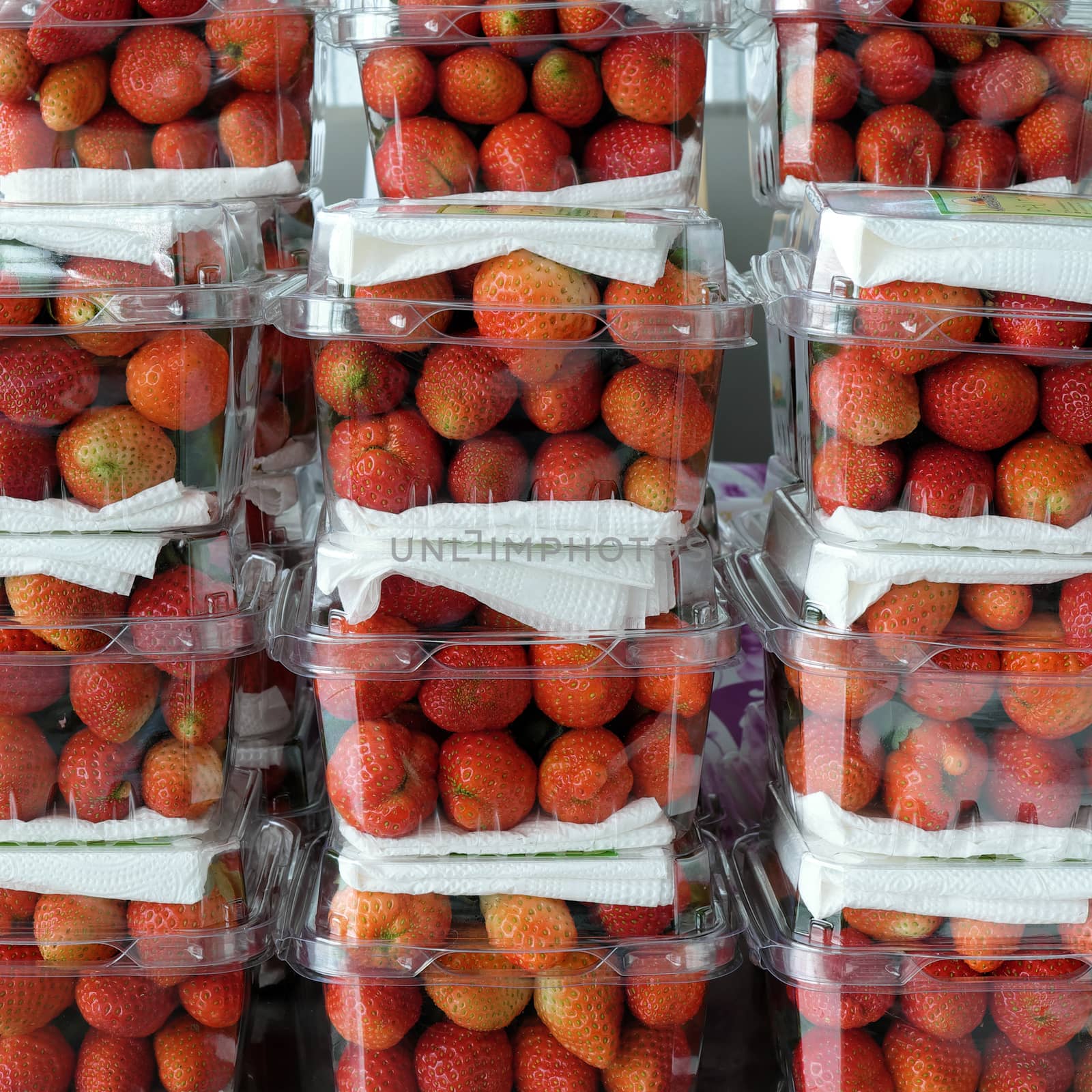 strawberry,Da Lat, dalat, fruit, agriculture by xuanhuongho