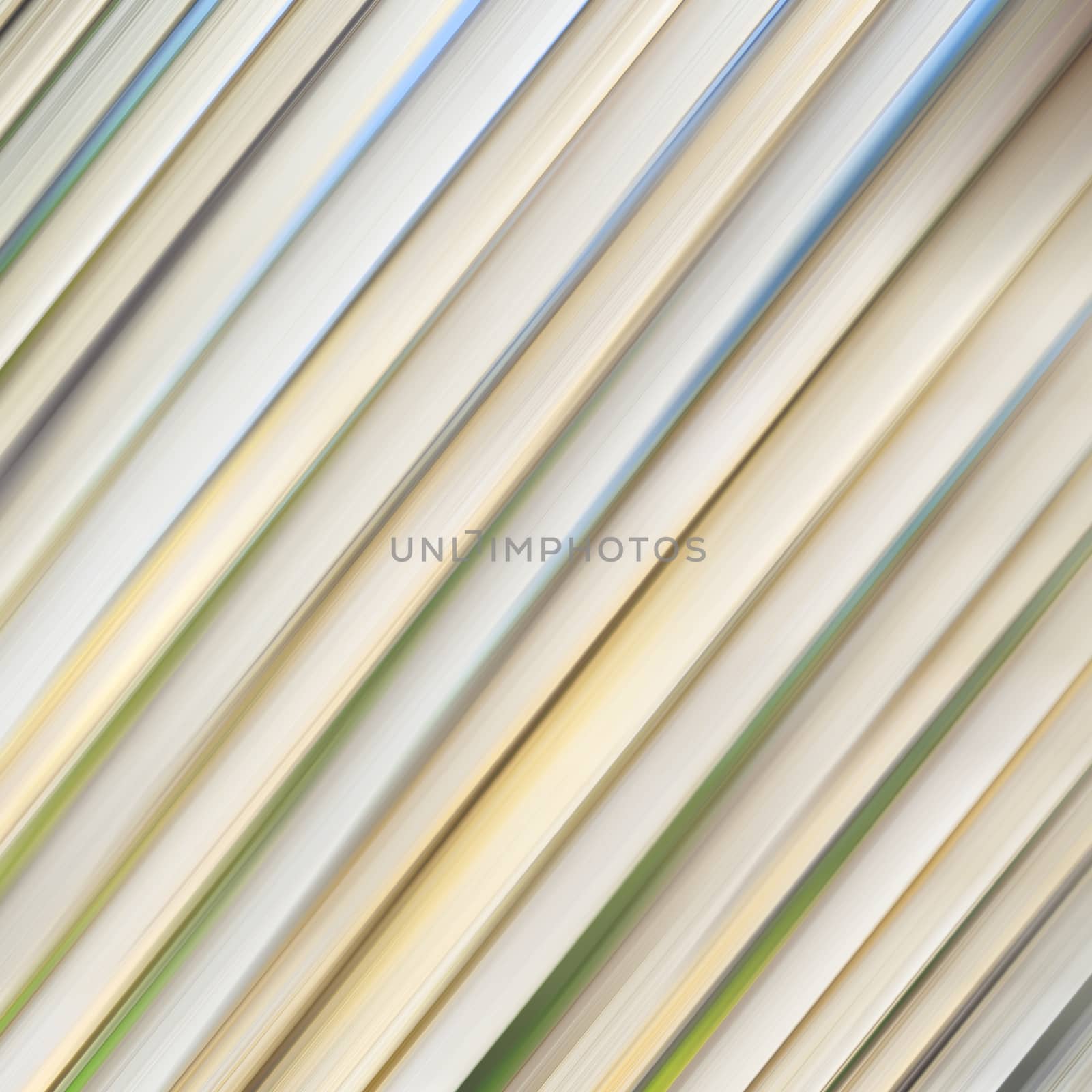 background     texture bamboo woothe abstract colors and blurred  backgroundd and plant in the abstract 