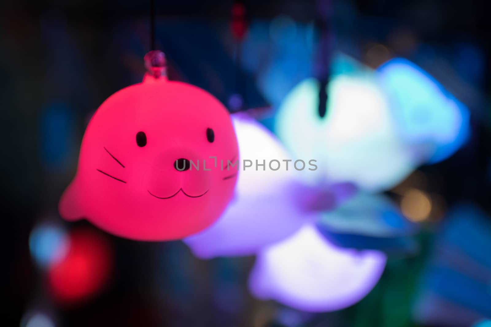 Fluorescent toy of cute animal - sea ​​lion