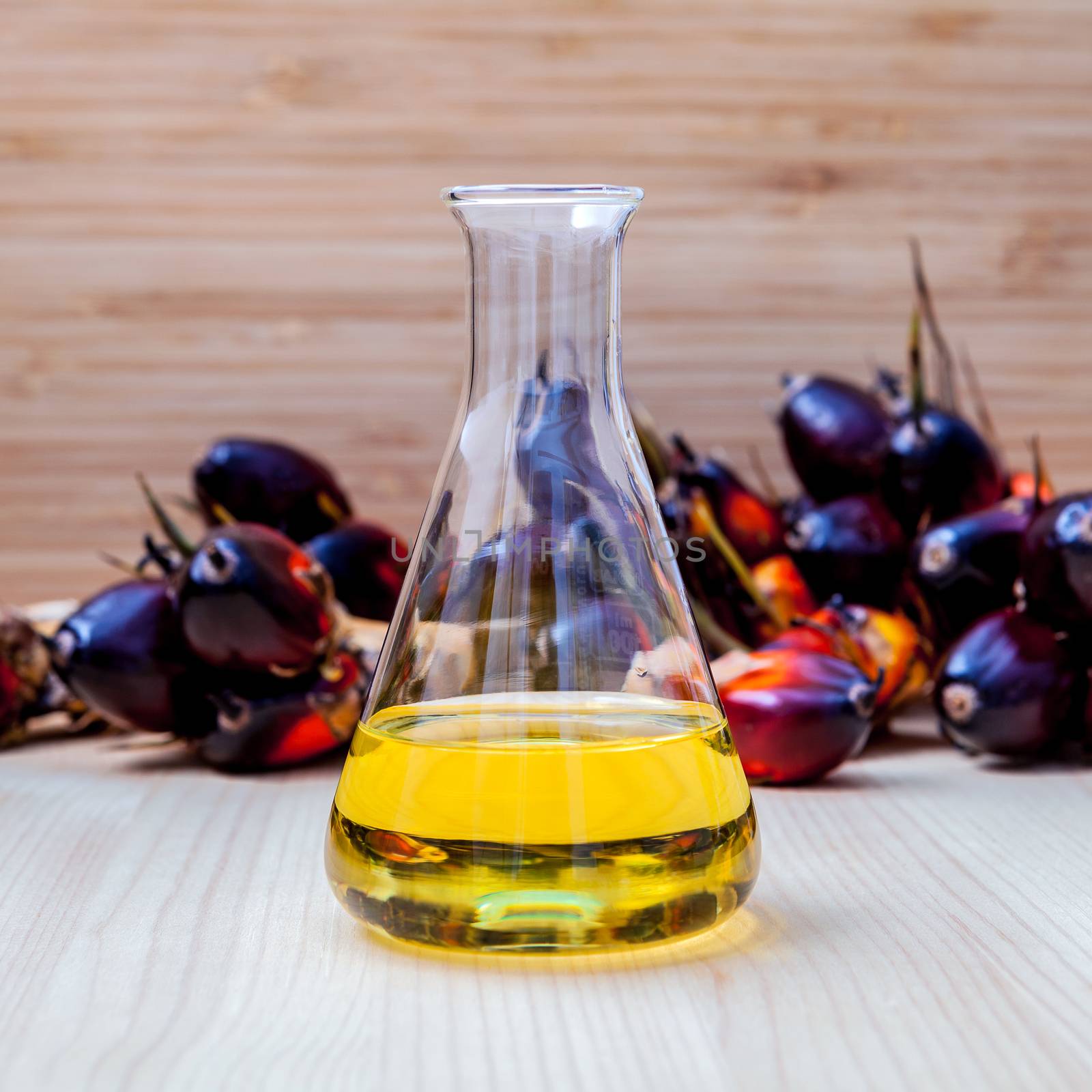 Alternate fuel , bio diesel in laboratory glass and red palm fruits set up on wooden background.