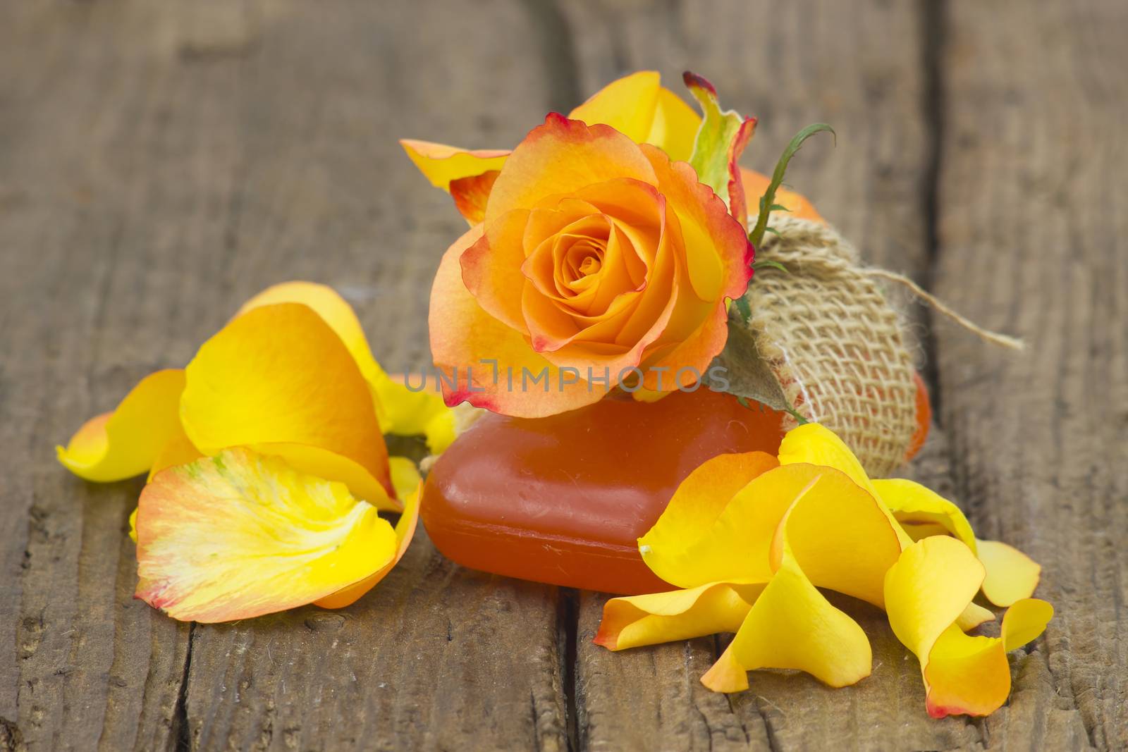 bar of natural soap and rose by miradrozdowski