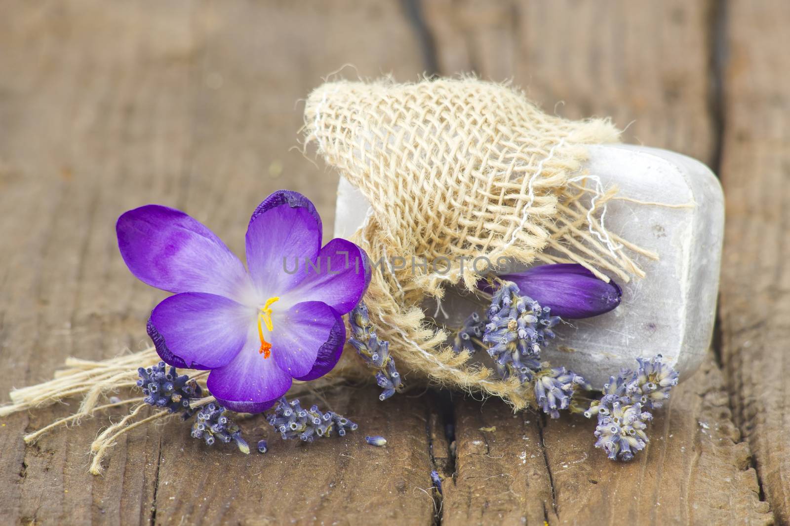 bar of natural soap, dried lavender and crocus 