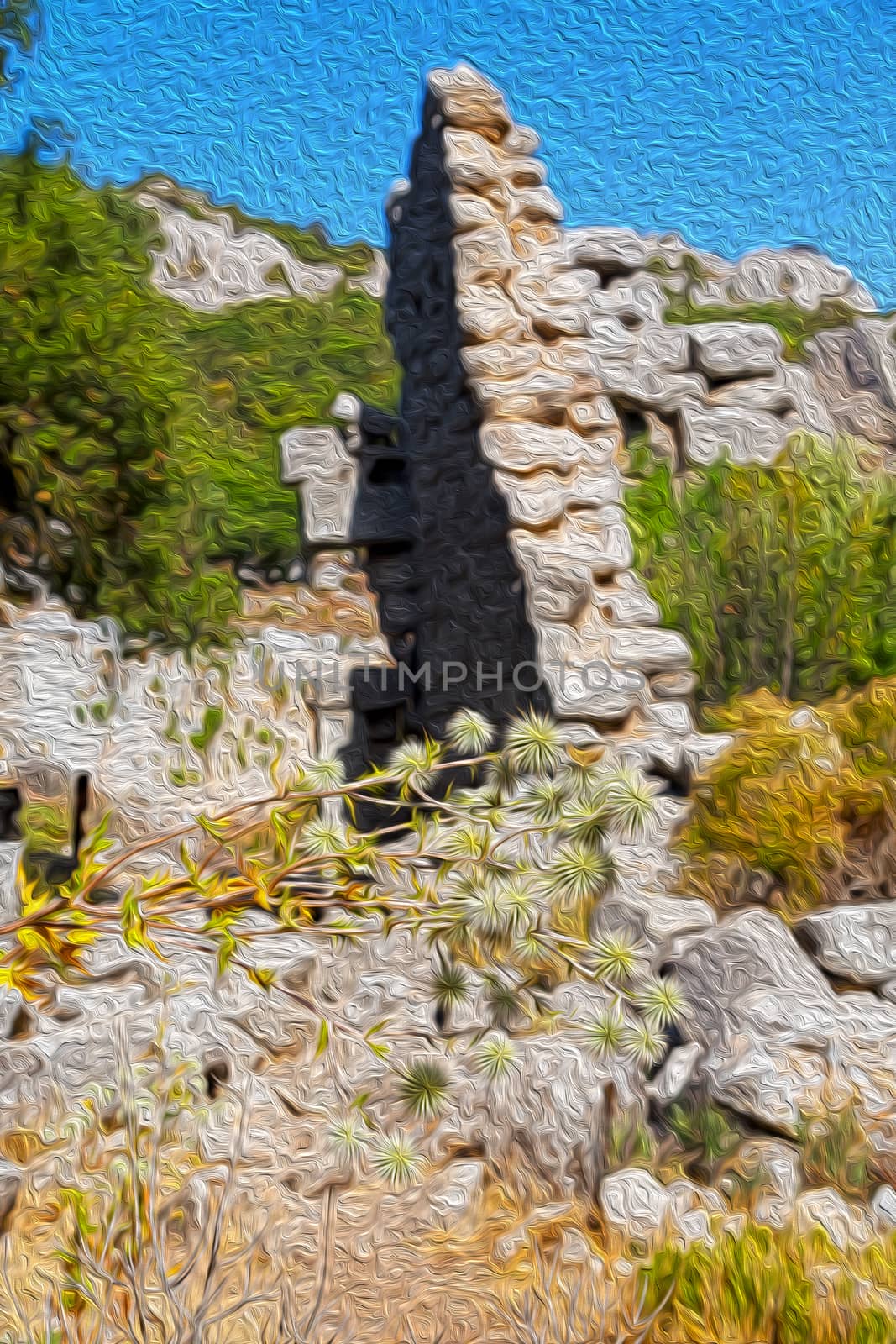  anatolia    from    the hill in asia turkey termessos old architecture and nature 