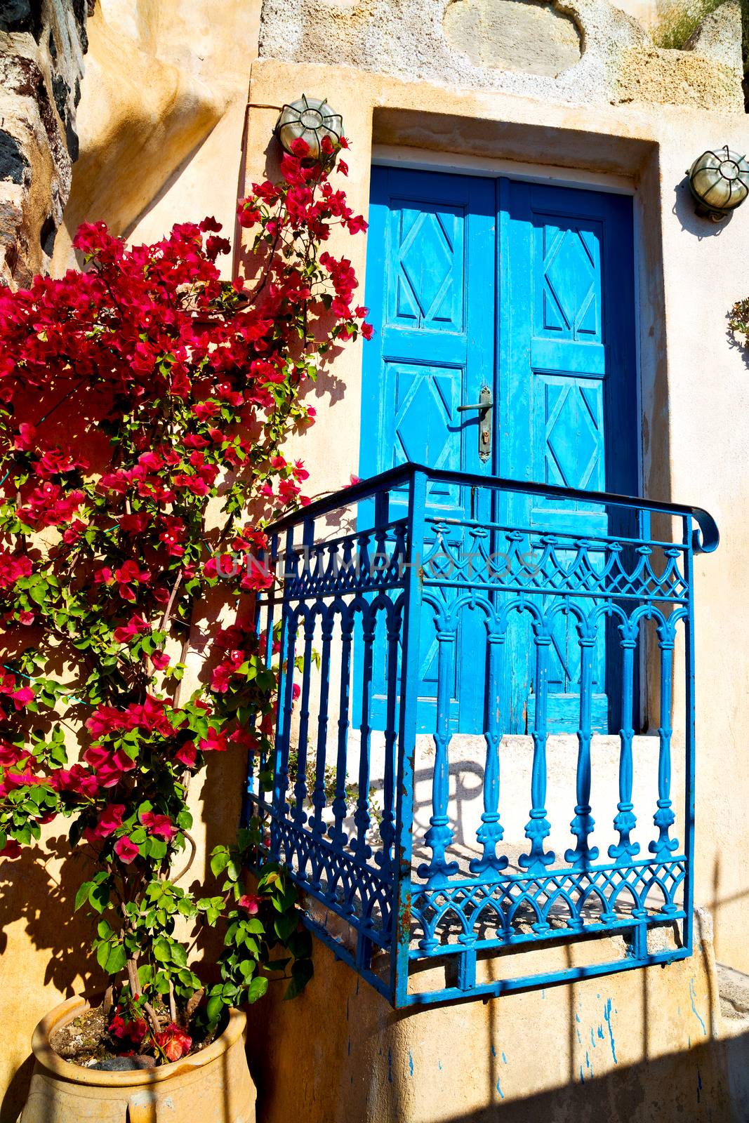 blue door in antique village flower   white wall by lkpro