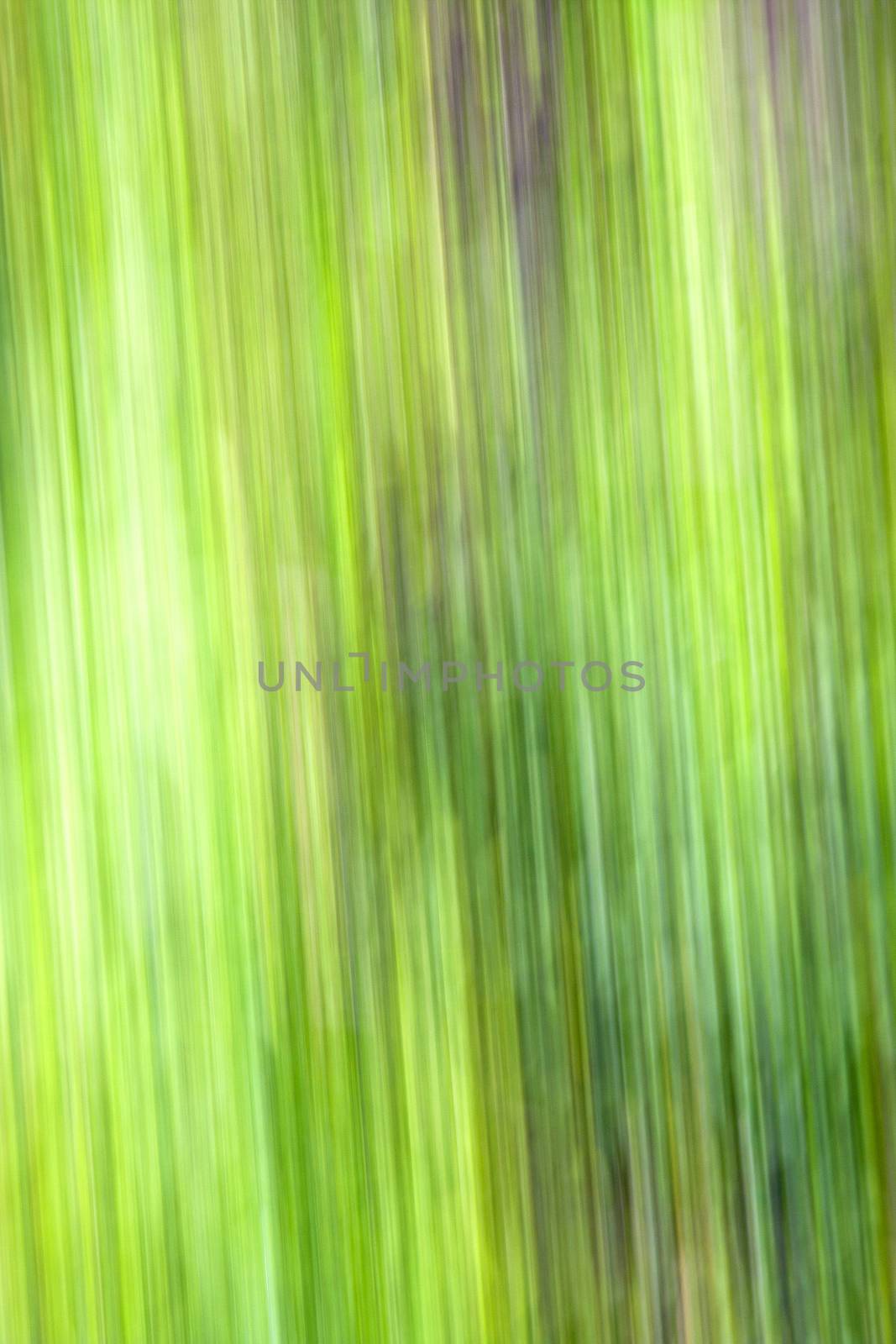 green  background fast line by lkpro