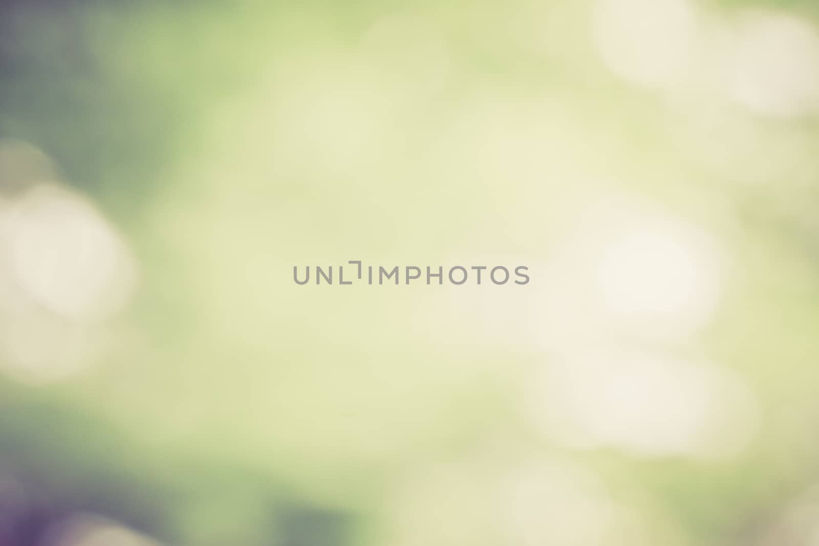 Soft green light blur background by worrayuth