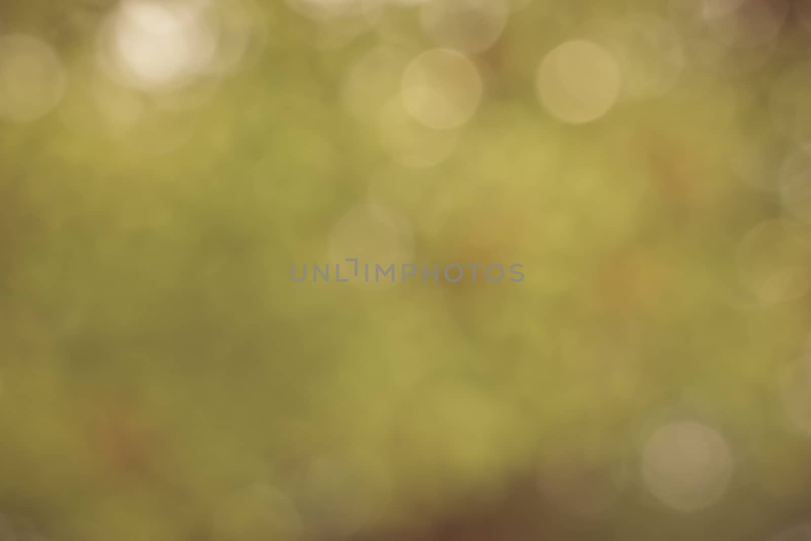 Soft light blur and bokeh background by worrayuth