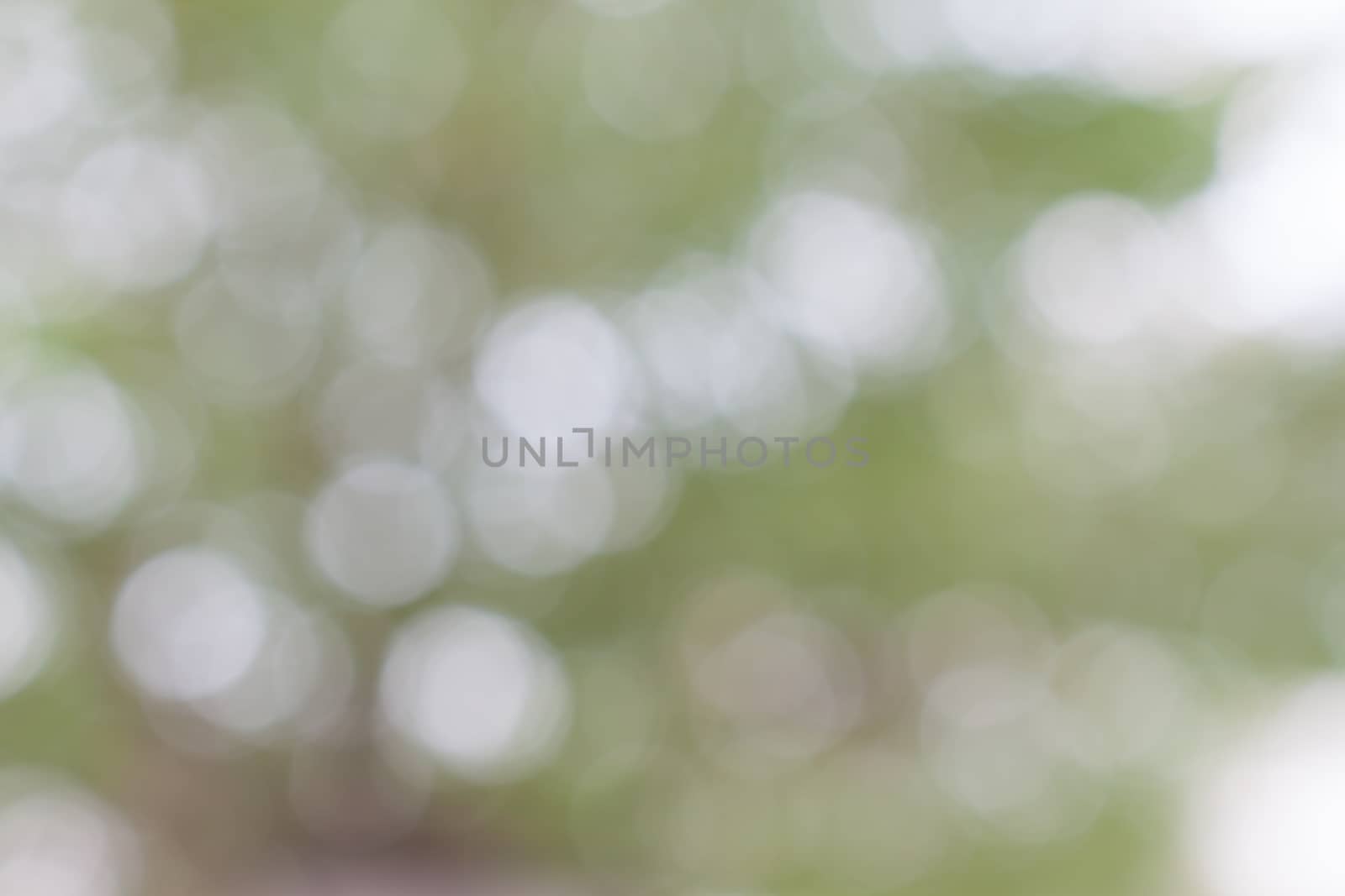 Bokeh background soft color and blur