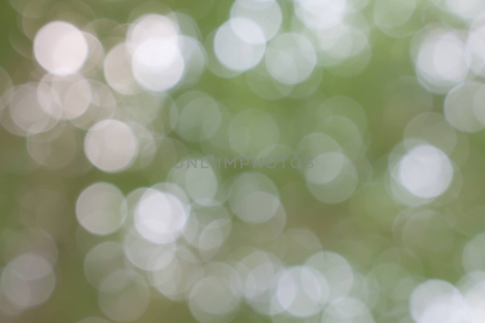 Light blur and bokeh green color background by worrayuth