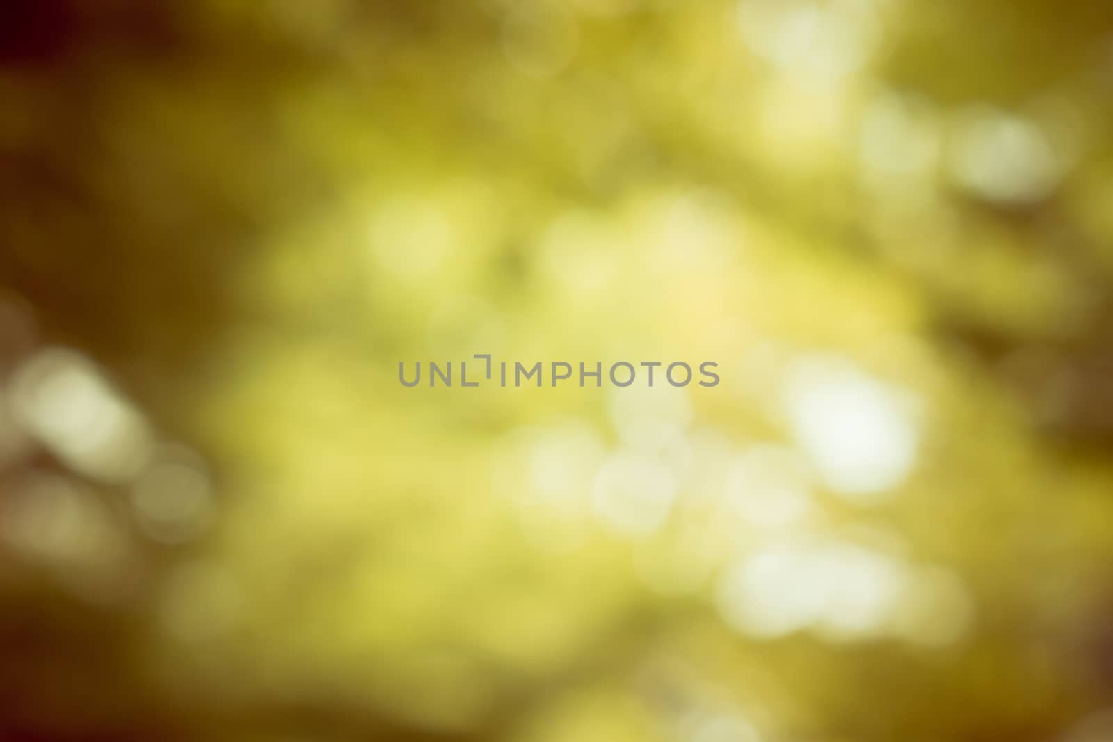 Bokeh gold light  background by worrayuth