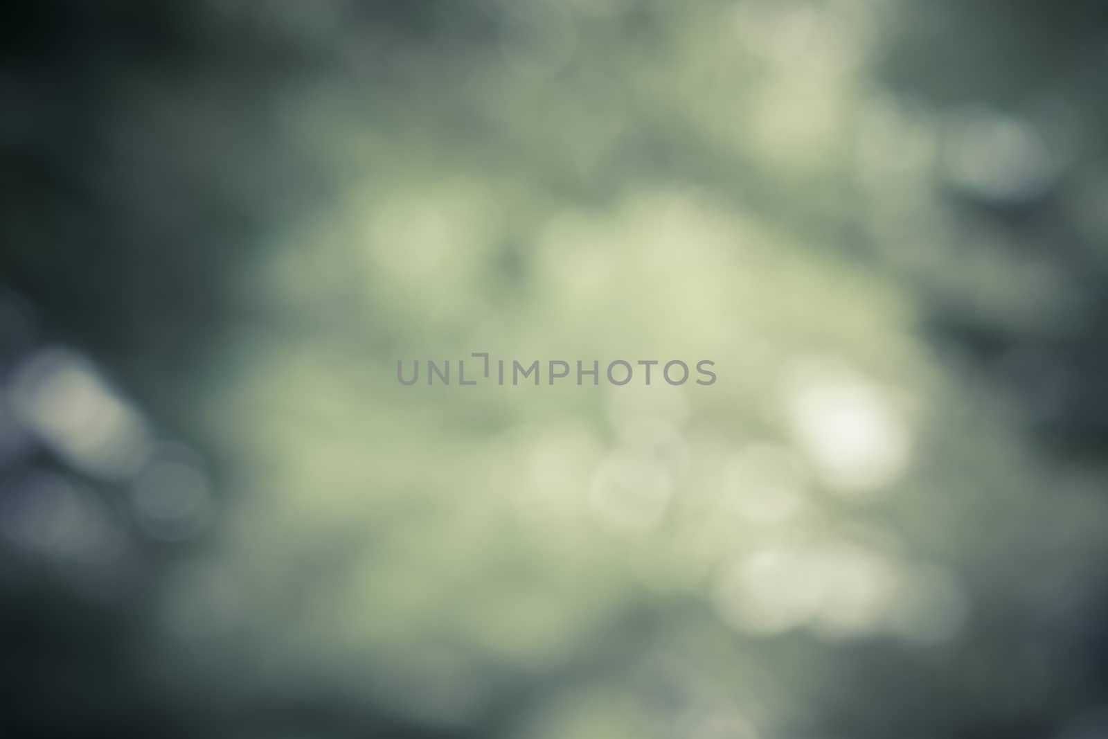 Bokeh gray light  background