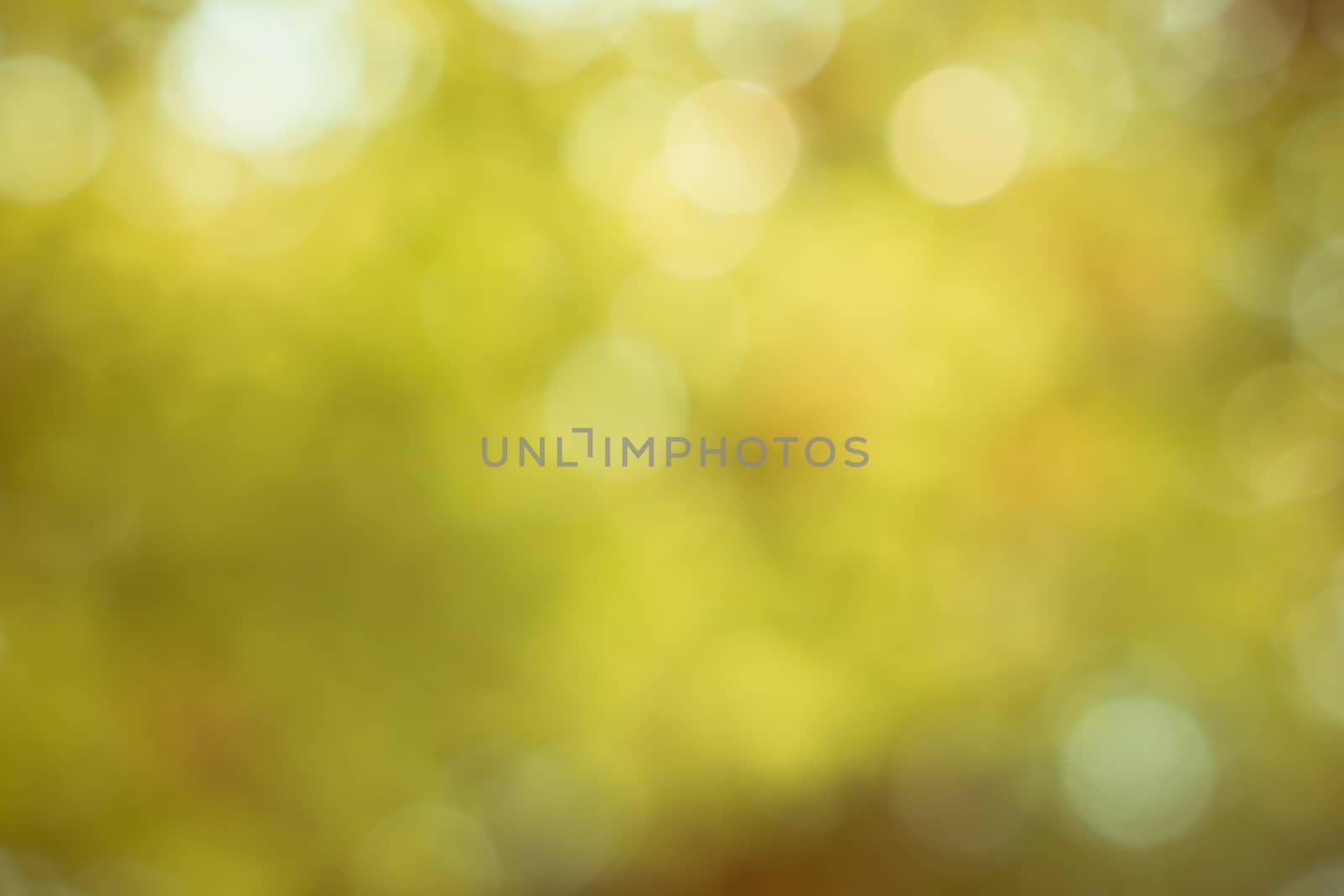 Soft gold bokeh light  background by worrayuth