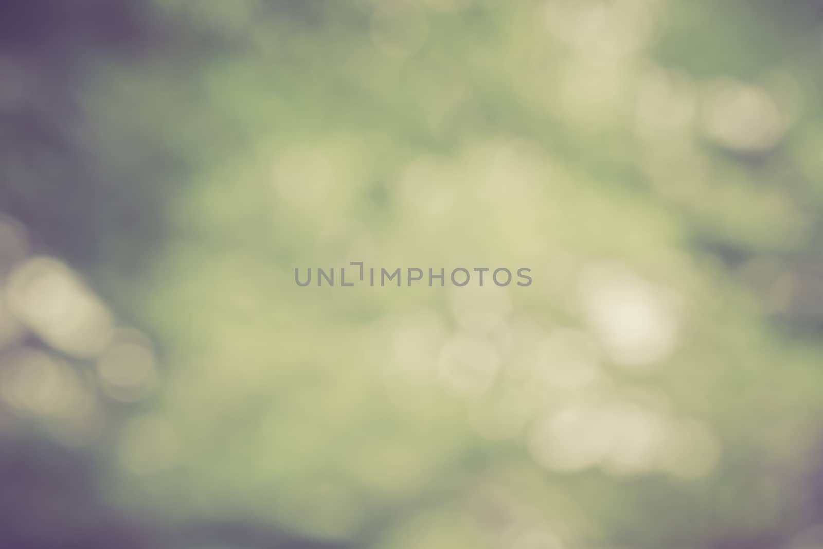 Bokeh light soft color background by worrayuth