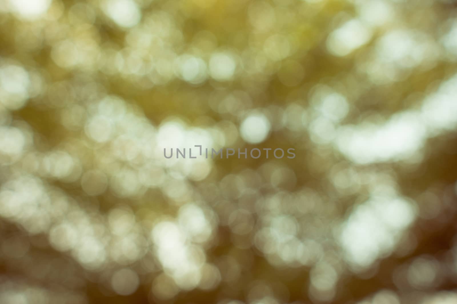 Gold light background