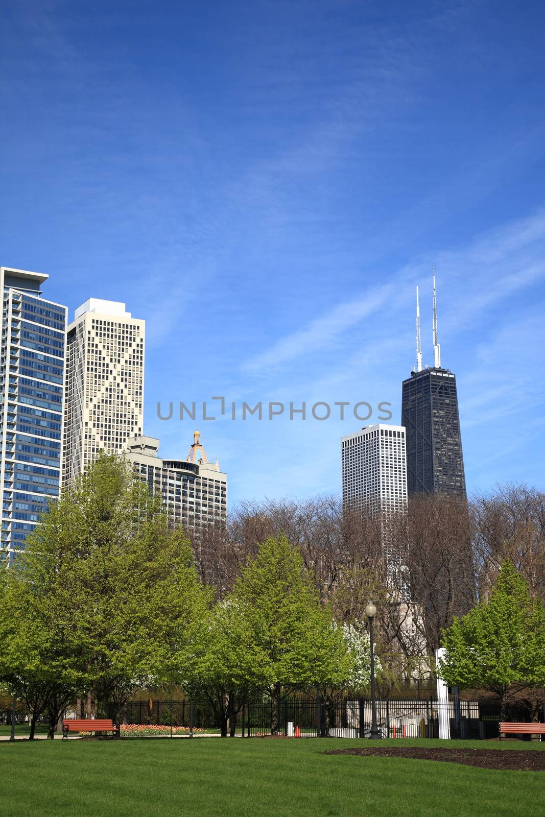 Chicago Skyline - Buildings of Chicago rise from a city park.