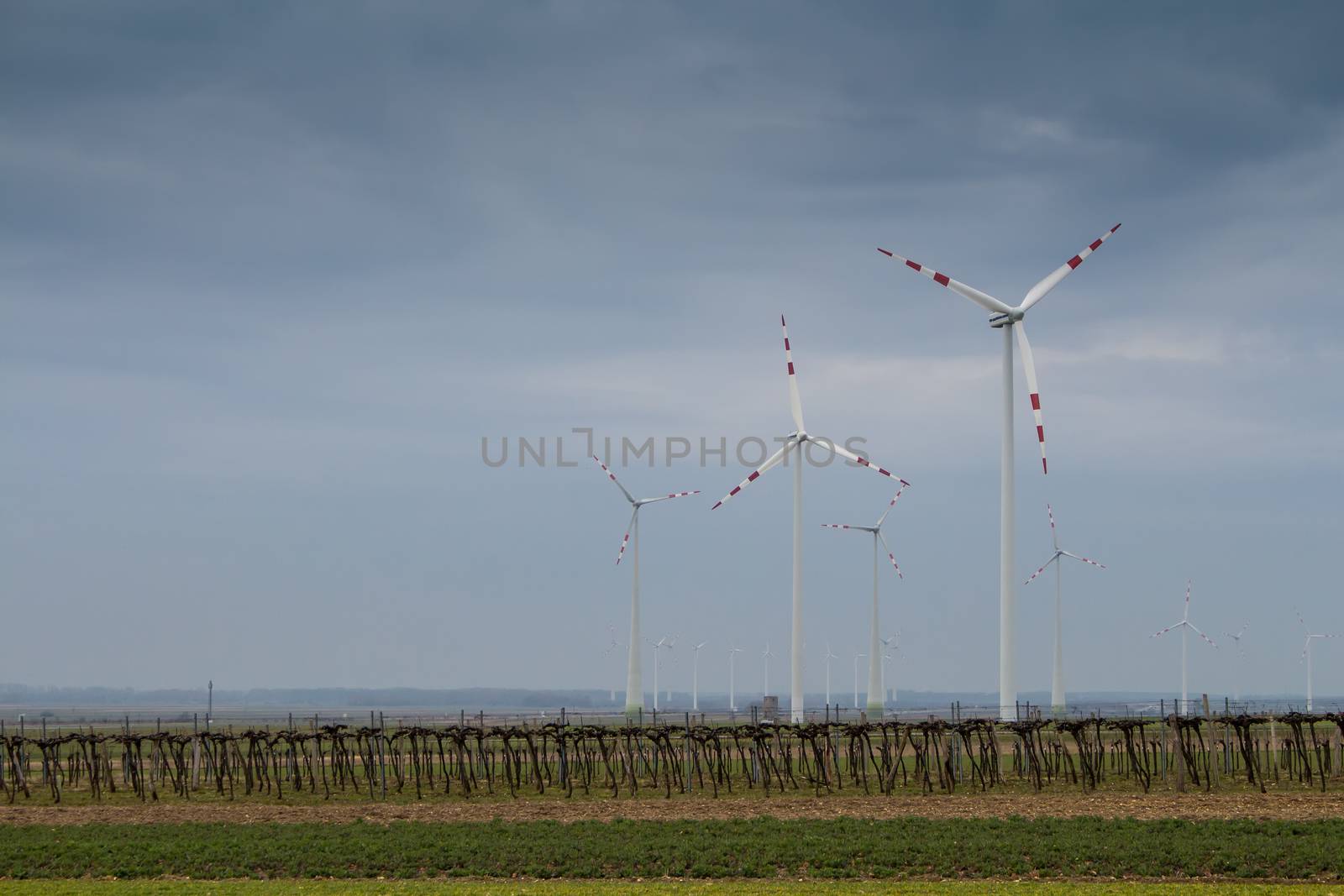 Field and wind turbines in a cloudy morning by YassminPhoto