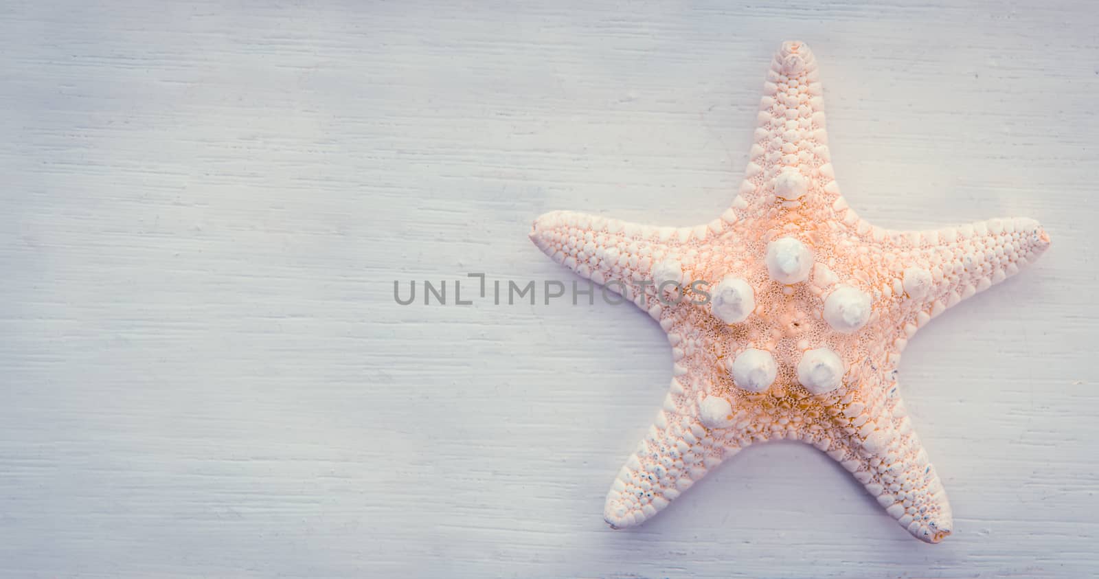 Vacation Detail Of A Starfish On A White Painted Backdrop