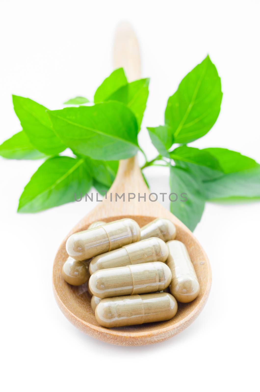 Herbal medicine capsules in wooden spoon with green leaves on white background.