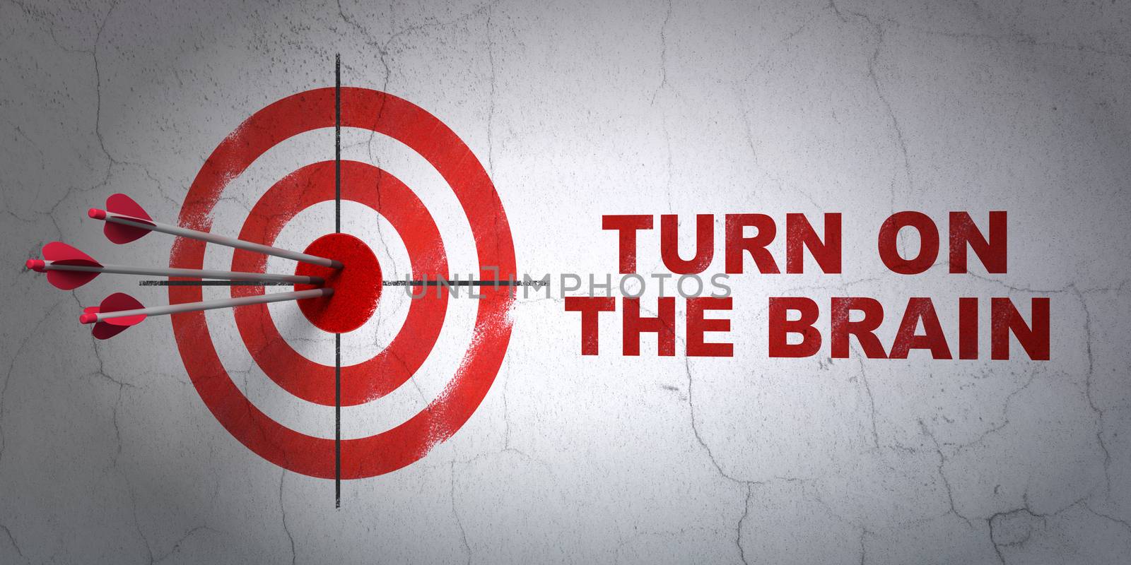 Success Education concept: arrows hitting the center of target, Red Turn On The Brain on wall background