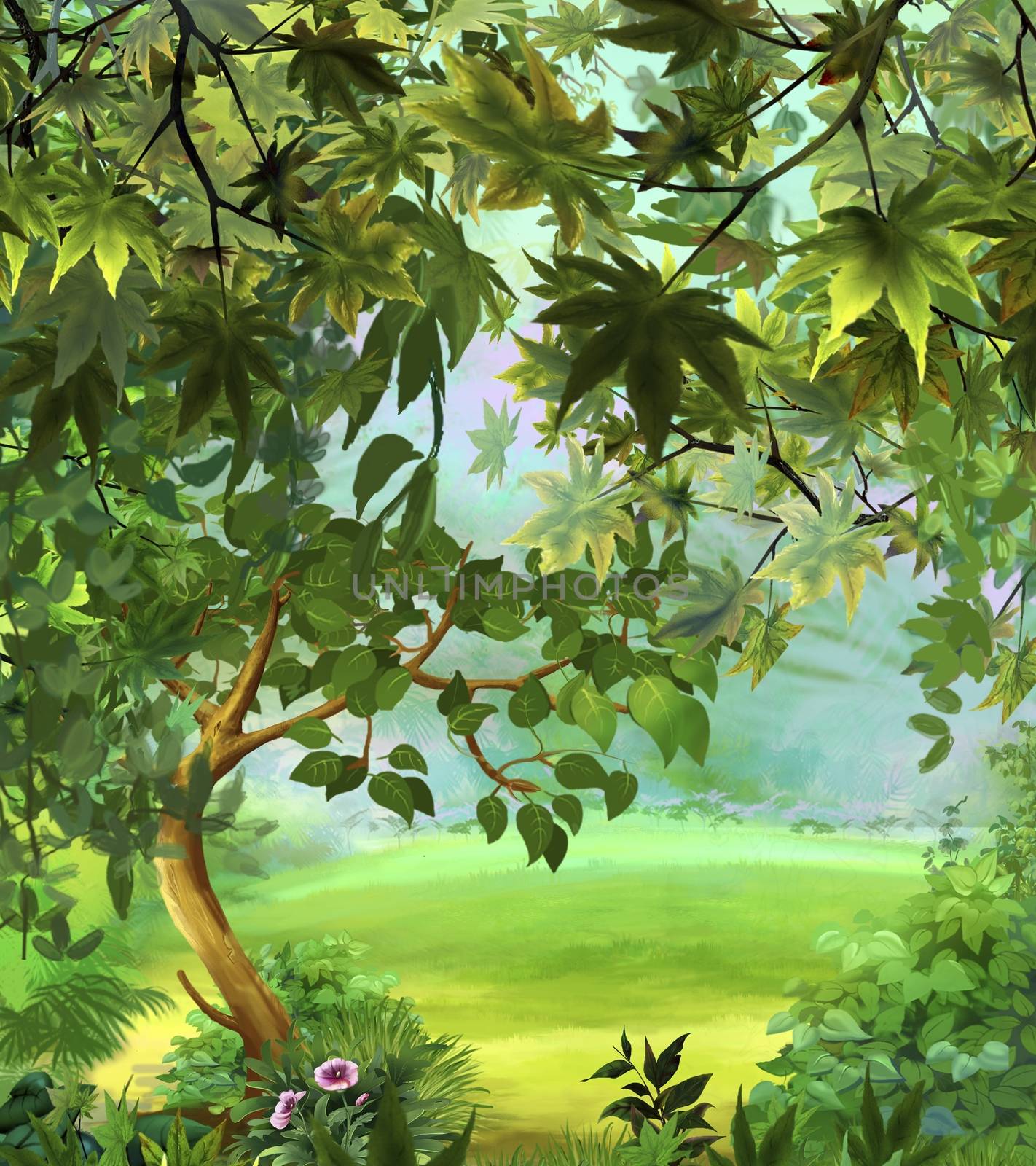 Tree in a Meadow by Multipedia