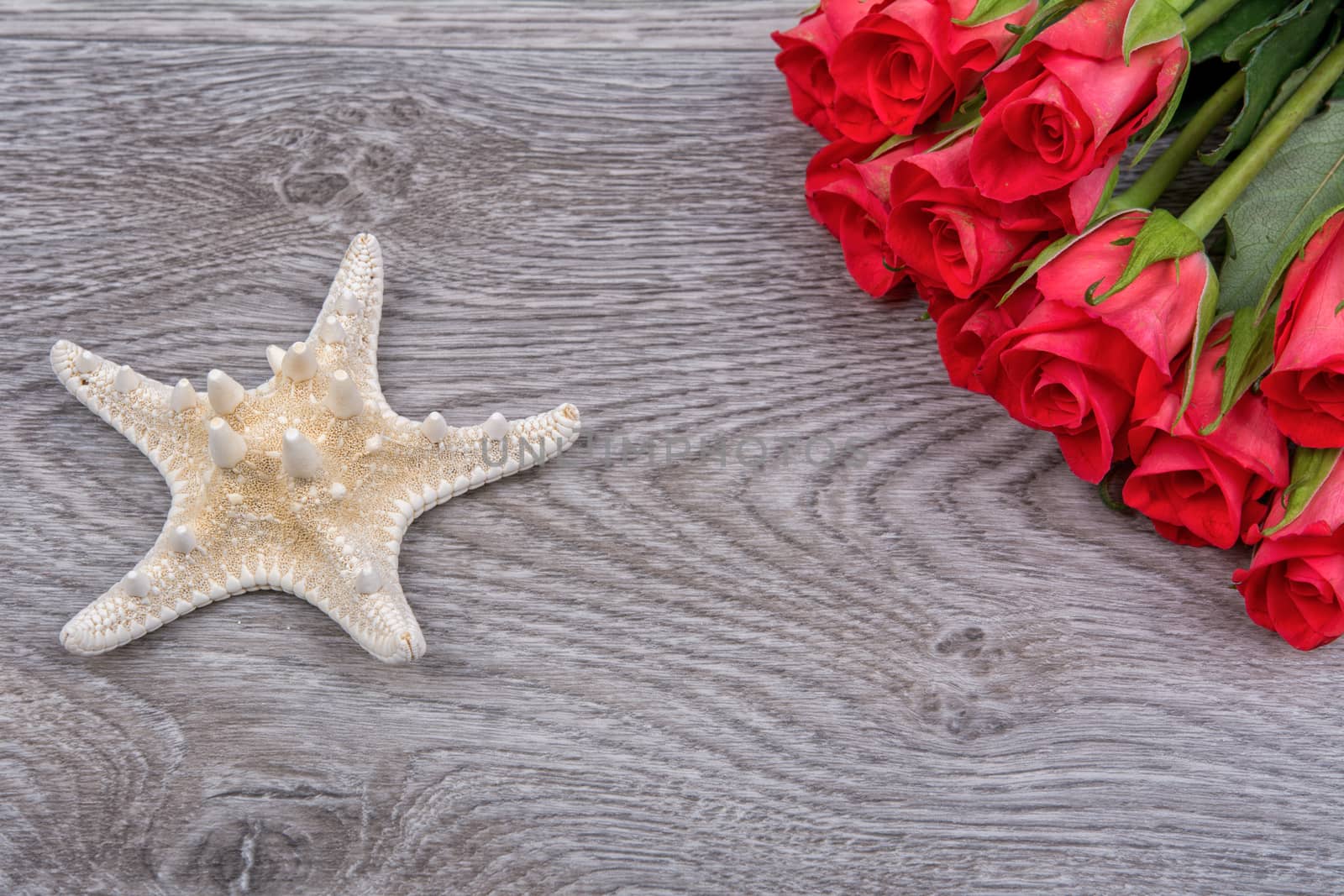 White starfish and red roses on a wooden background