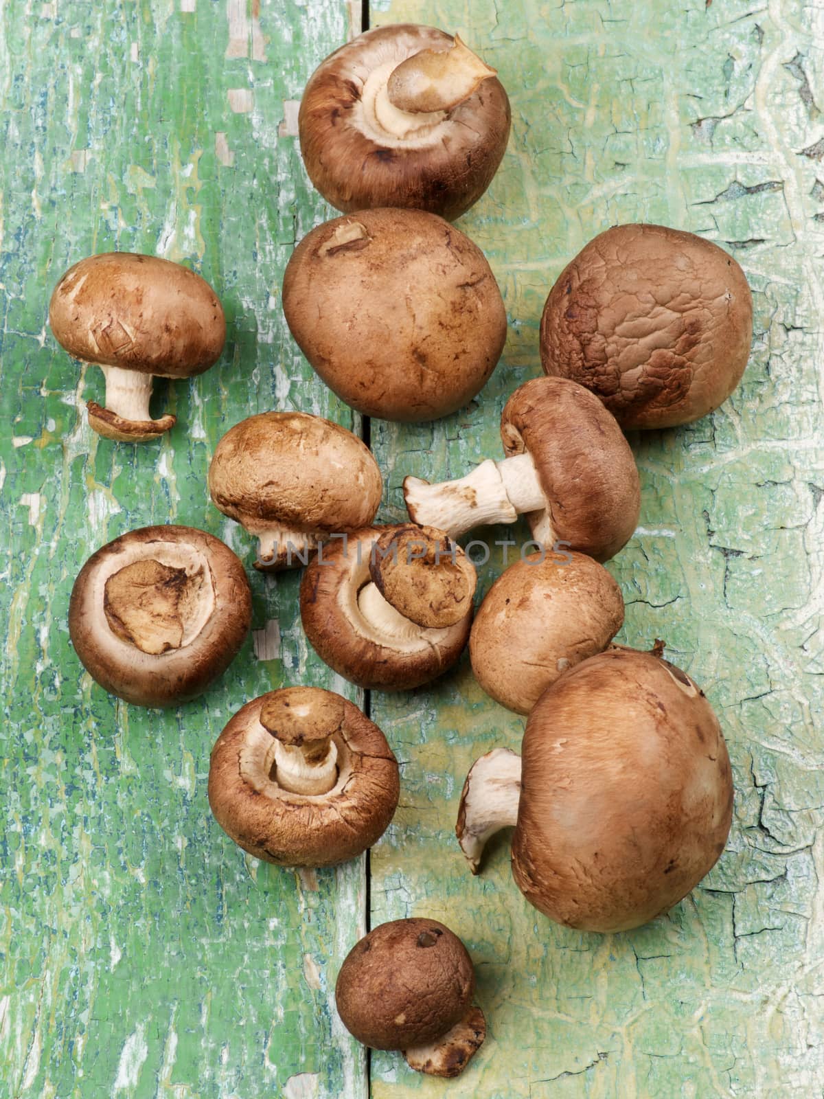 Fresh Portabello Mushrooms by zhekos