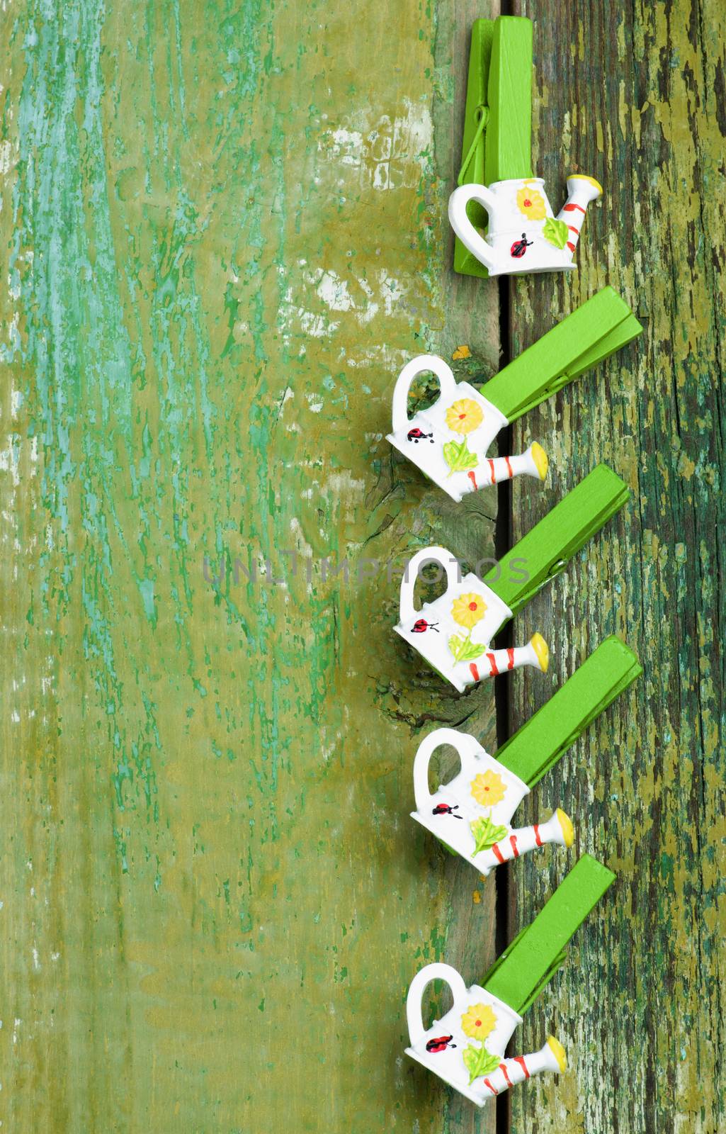 Arrangement of Decorative Gardening and Watering Wooden Pins In a Row on Cracked Green Wooden background