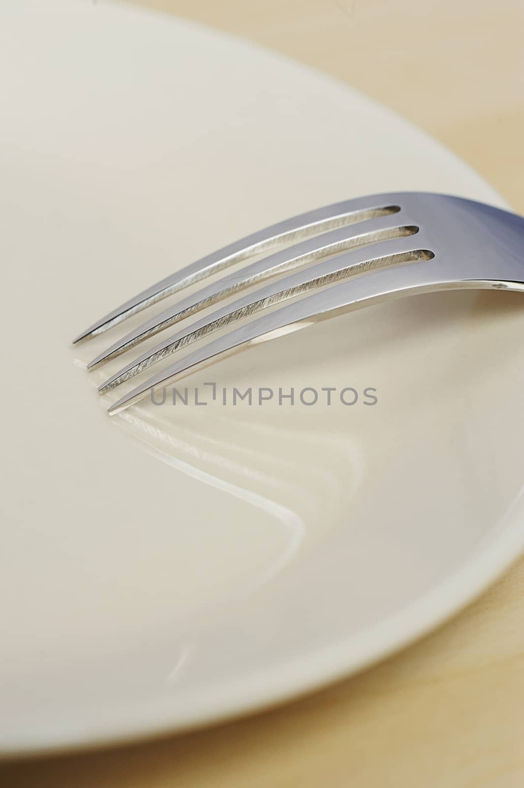 close up of empty plate on wood table with fork