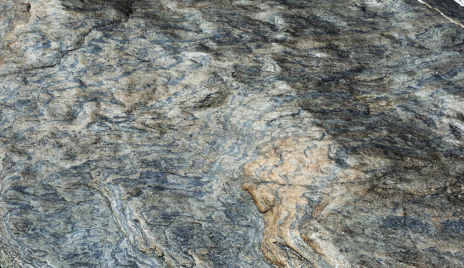 Abstract designs based on geological and other natural materials, appropriate for backgrounds and marketing.