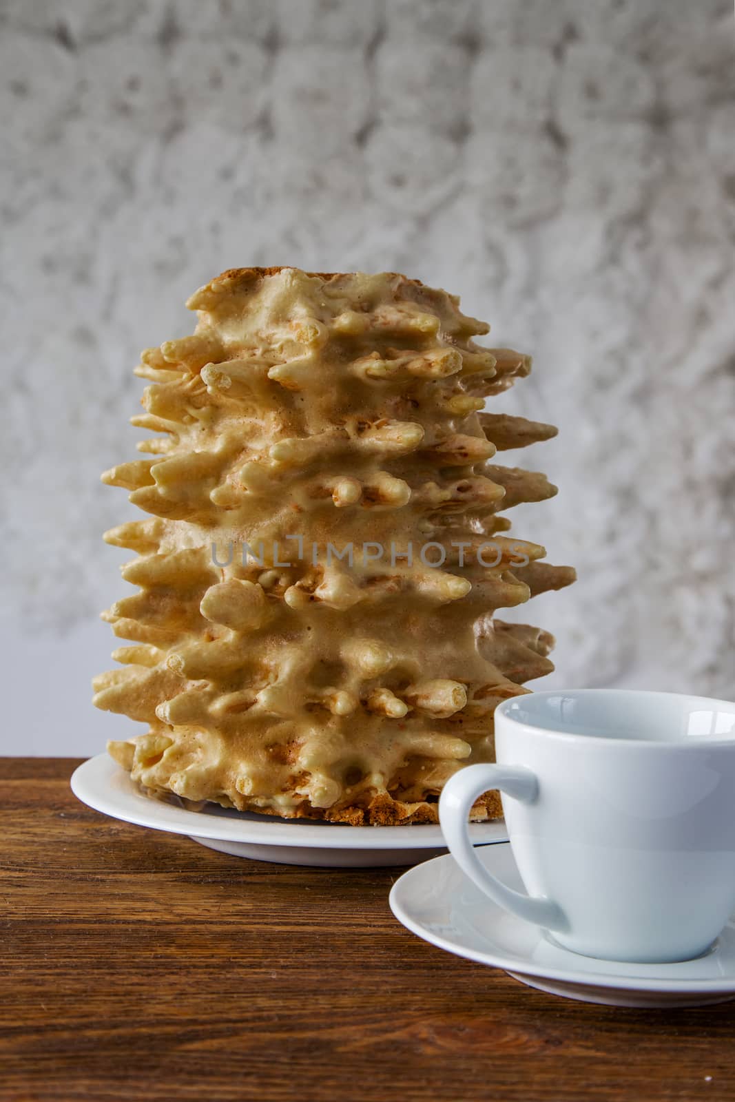 Polish-Lithuanian national dessert -cake shakotis