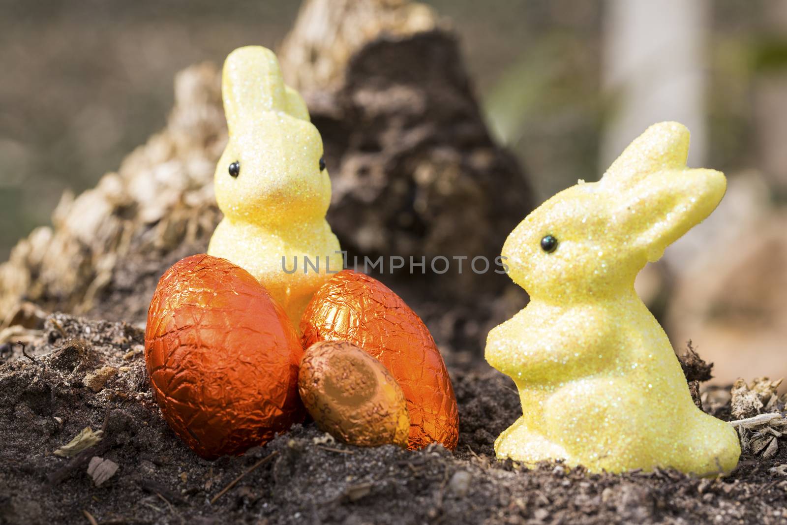 Happy Easter nest eggs by CatherineL-Prod