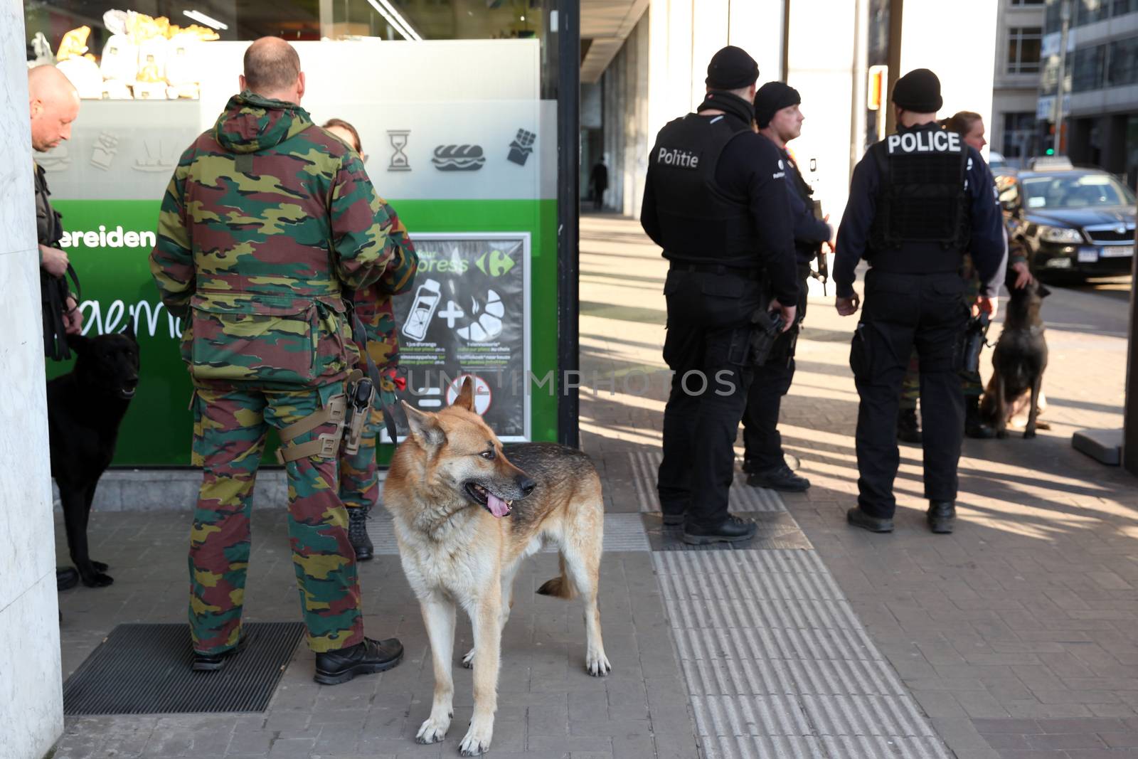BELGIUM, Brussels: Police officers and dog are pictured in the area of the explosion at the Maelbeek - Maalbeek subway station in Brussels, on March 22, 2016. In the morning two bombs exploded at the departure hall of Brussels Airport and another one at the Maelbeek - Maalbeek subway station, which killed around 30 people.