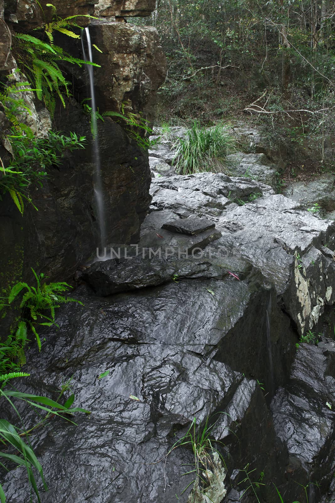J C Slaughter Falls is a cascade waterfall located near Mt Coot-tha in Brisbane, Queensland, Australia