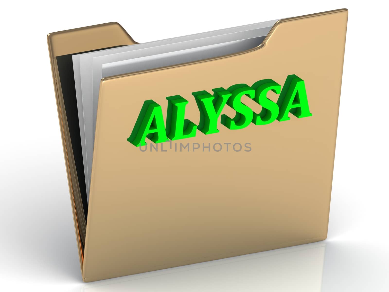 ALYSSA- bright green letters on gold paperwork folder by GreenMost