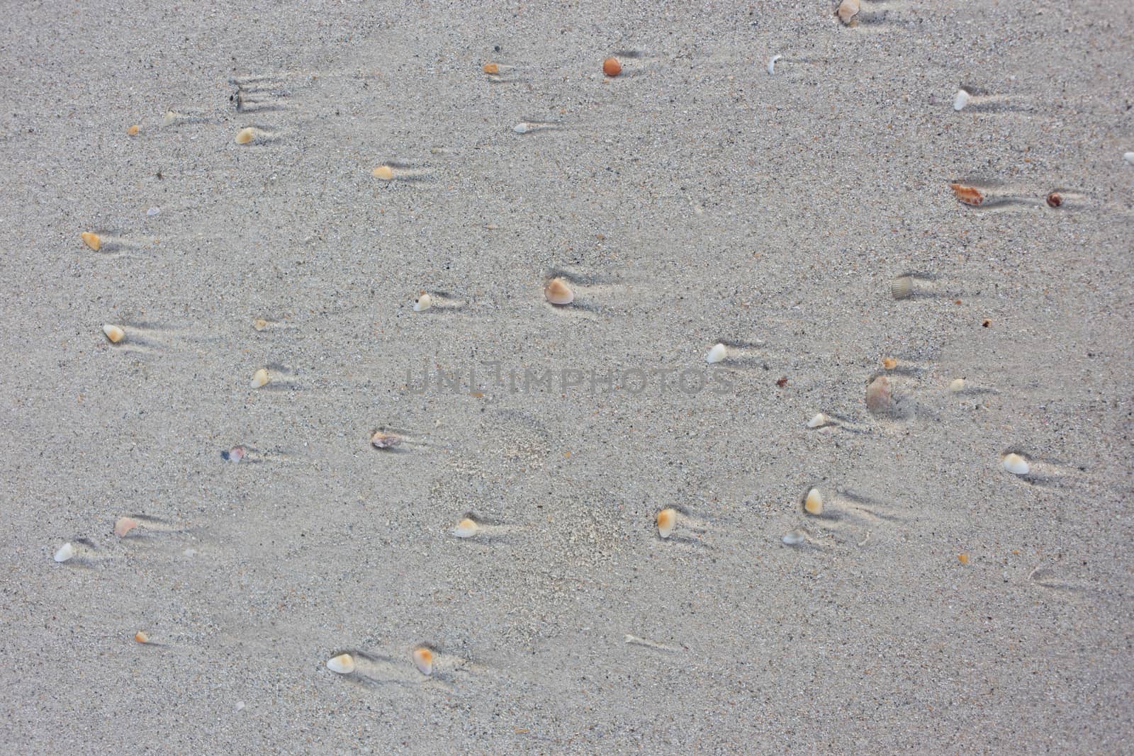 Stone and sand at the sea look like moving