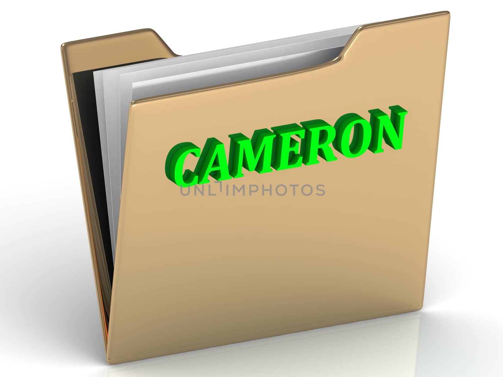CAMERON- bright green letters on gold paperwork folder by GreenMost