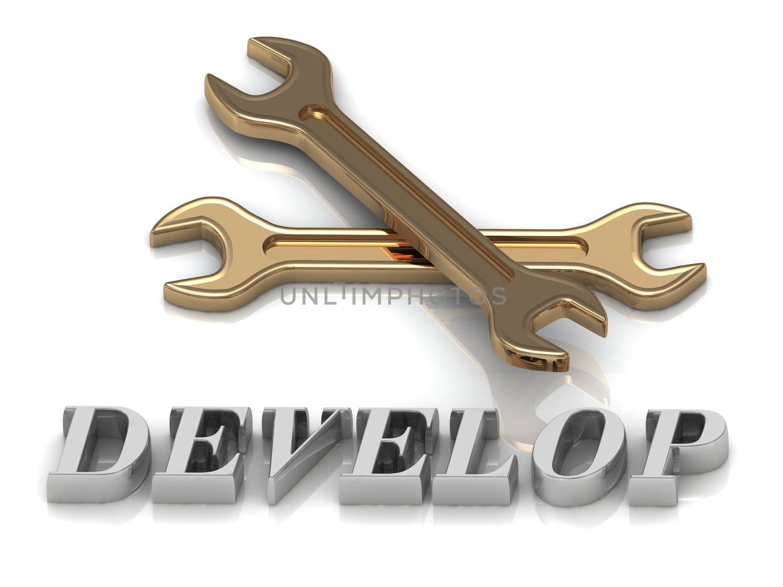 DEVELOP- inscription of metal letters and 2 keys on white background